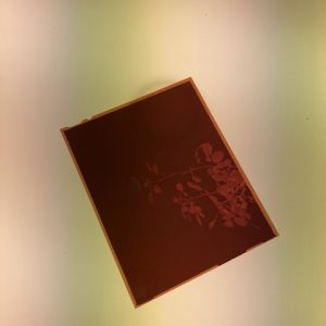 Colour C41 5x4 Film Developing